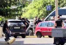 Πύργος: Βελανιδιά καταπλάκωσε αυτοκίνητο σε αυλή σπιτιού, από καθαρή τύχη δεν υπήρξαν τραυματισμοί