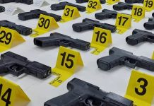 Θράκη: Δύο Τούρκοι συνελήφθησαν με 50 πιστόλια μέσα σε φορτηγό – Θα εφοδίαζαν εγκληματικές ομάδες