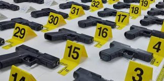 Θράκη: Δύο Τούρκοι συνελήφθησαν με 50 πιστόλια μέσα σε φορτηγό – Θα εφοδίαζαν εγκληματικές ομάδες