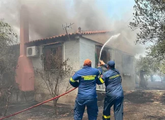 Φωτιά στο Ρέθυμνο: Η επόμενη μέρα της πύρινης καταστροφής – Στάχτες, ερείπια και χαμένες περιουσίες
