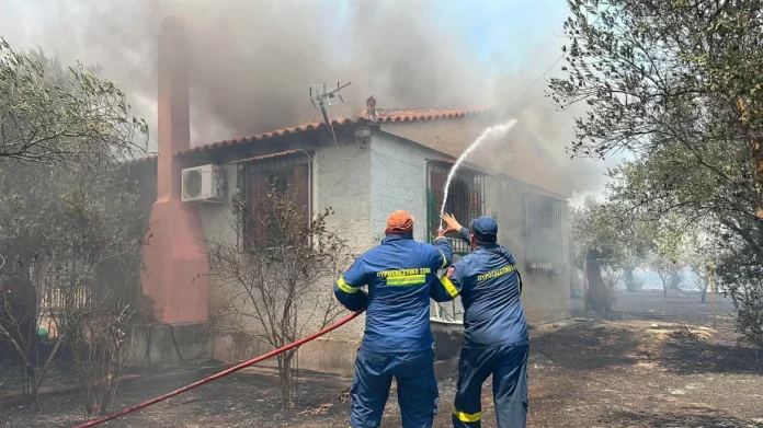 Φωτιά στο Ρέθυμνο: Η επόμενη μέρα της πύρινης καταστροφής – Στάχτες, ερείπια και χαμένες περιουσίες