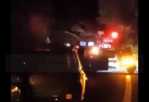 Σοβαρά προβλήματα στην Κέρκυρα από μπουρίνι: Ξεριζώθηκσν δέντρα, διακοπές ρεύματος στο νησί