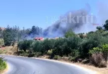 Ηράκλειο: Συναγερμός στην Πυροσβεστική για φωτιά κοντά στον αρχαιολογικό χώρο της Κνωσού