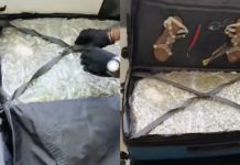«Ξηλώνεται» διεθνές κύκλωμα ναρκωτικών στην Κρήτη – Σύλληψη 22χρονης transporter με 20 κιλά skunk μέσα σε βαλίτσα