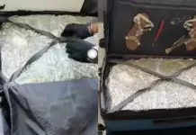 «Ξηλώνεται» διεθνές κύκλωμα ναρκωτικών στην Κρήτη – Σύλληψη 22χρονης transporter με 20 κιλά skunk μέσα σε βαλίτσα