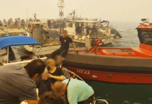Συγκλονιστικές εικόνες από τον Άγιο Βασίλειο Βοιωτίας, απεγκλωβίζουν τον κόσμο με βάρκες – 112 για απομάκρυνση από Χινίτσα και Μπόρσα, λόγω της πυρκαγιάς στην Αργολίδα