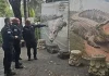 Ακραίο μέτρο από το Ισραήλ για ν’ αποτρέψει τις αποδράσεις τρομοκρατών της Χαμάς: Θα βάλει κροκόδειλους γύρω από τις φυλακές