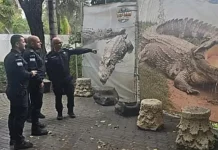 Ακραίο μέτρο από το Ισραήλ για ν’ αποτρέψει τις αποδράσεις τρομοκρατών της Χαμάς: Θα βάλει κροκόδειλους γύρω από τις φυλακές
