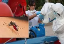 Συναγερμός στη Γλυφάδα: Ψεκασμοί – εξπρές μετά το επιβεβαιωμένο κρούσμα από ιό του Δυτικού Νείλου