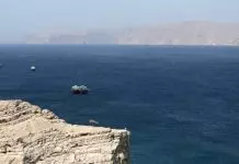 Τα “μαζεύει” ο Τραμπ για τα Στενά του Ορμούζ: Αντί για διόδια 20%, εμπορικές και επενδυτικές συμφωνίες με τα κράτη του Κόλπου