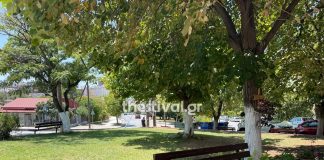 Θεσσαλονίκη: Το τσακάλι άρπαξε την 4χρονη από τον λαιμό και την έσερνε