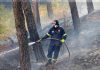 Χαλκιδική: Υπό έλεγχο η φωτιά σε δασική έκταση στην Κασσάνδρα