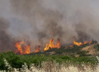 Eπίθεση δέχτηκε στη Χαλκιδική το συνεργείο του MEGA που καλύπτει τη φωτιά-(VIDEO)