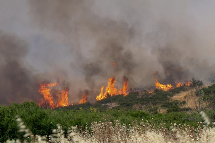 Φωτιά στo Πλωμάρι: Μήνυμα 112 για ετοιμότητα