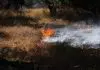 Νέο πύρινο μέτωπο στον Ασώματο του Ρεθύμνου: 112 για εκκένωση τεσσάρων περιοχών