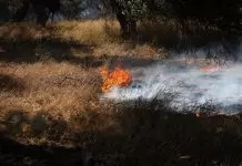 Νέο πύρινο μέτωπο στον Ασώματο του Ρεθύμνου: 112 για εκκένωση τεσσάρων περιοχών