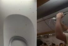 Πτήση της Ryanair στο Μιλάνο γέμισε με σμήνος κουνουπιών -Επιβάτες με πετσέτες προσπαθούσαν να τα σκοτώσουν – (VIDEO)