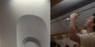 Πτήση της Ryanair στο Μιλάνο γέμισε με σμήνος κουνουπιών -Επιβάτες με πετσέτες προσπαθούσαν να τα σκοτώσουν – (VIDEO)