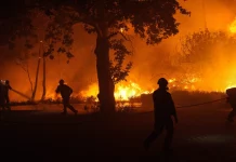 Πώς δρούσε το κύκλωμα εμπρησμών και εκβιασμών στη Μεσσηνία: Έκαιγαν χωράφια αγροτών που δεν τους πλήρωναν, τι εξετάζουν οι Αρχές