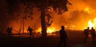 Πώς δρούσε το κύκλωμα εμπρησμών και εκβιασμών στη Μεσσηνία: Έκαιγαν χωράφια αγροτών που δεν τους πλήρωναν, τι εξετάζουν οι Αρχές