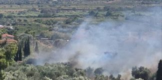 Φωτιά τώρα στο Πικέρμι – Μεγάλη κινητοποίηση της Πυροσβεστικής, ήχησε το «112» για ετοιμότητα