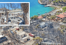 Εμπρηστικός μηχανισμός στη Σαλαμίνα
