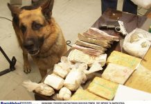 «Μπλόκο» ΑΑΔΕ στα σύνορα με τον ανιχνευτή Κ9 – Κατασχέσεις μεγάλων ποσοτήτων ναρκωτικών!
