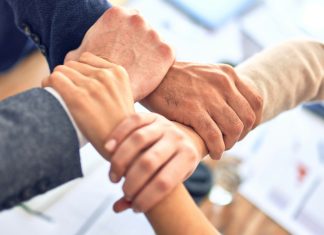 Στο μικροσκόπιο 20 εταιρείες που συστάθηκαν μέσα σε μία ημέρα – Οι ομοιότητες που προκαλούν ελεγκτικό ενδιαφέρον