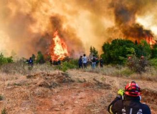 Μαρτυρίες σοκ από τους πυρόπληκτους: «Έβαλαν φωτιά στο ίδιο σημείο με πέρυσι»-(VIDEO)