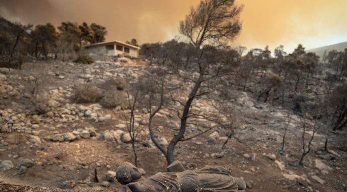 Πυρόπληκτη ξεφτιλίζει τη κυβέρνηση: «Ούτε ανεμογεννήτριες δεν μπορούν να βάλουν, είναι άχρηστοι»-(VIDEO)