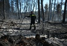 Το επιτελικό κράτος Μητσοτάκη απέναντι στη φωτιά: 4,5 εκατ. στρέμματα καμένα και οι απαντήσεις που αγνοούνται