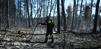Το επιτελικό κράτος Μητσοτάκη απέναντι στη φωτιά: 4,5 εκατ. στρέμματα καμένα και οι απαντήσεις που αγνοούνται