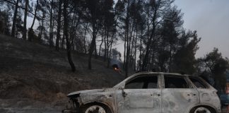 Στάχτη και αποκαΐδια άφησε πίσω της η φωτιά στη Χαλκιδική – Τεράστια η καταστροφή στην περιοχή