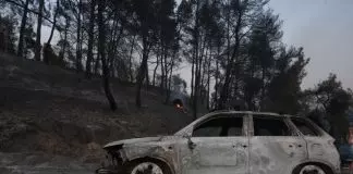 Στάχτη και αποκαΐδια άφησε πίσω της η φωτιά στη Χαλκιδική – Τεράστια η καταστροφή στην περιοχή