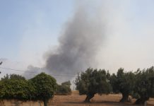 Πύρινη κόλαση στη Δυτική Αττική: Μπαράζ μηνυμάτων από το 112 για εκκενώσεις οικισμών – Όλες οι εξελίξεις