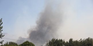 Πύρινη κόλαση στη Δυτική Αττική: Μπαράζ μηνυμάτων από το 112 για εκκενώσεις οικισμών – Όλες οι εξελίξεις