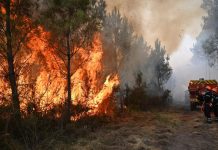 Η χώρα καίγεται και ο Πρωθυπουργός κάνει διακοπές: «Travel guide» για τους Ευρωπαίους ηγέτες από το Politico