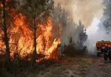 Η χώρα καίγεται και ο Πρωθυπουργός κάνει διακοπές: «Travel guide» για τους Ευρωπαίους ηγέτες από το Politico