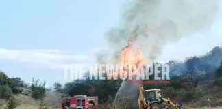 Τρίτο πύρινο μέτωπο στον Βόλο: Φωτιά στα «Αστέρια» του Σωρού – Σπεύδουν Πυροσβεστική και ΔΙΑΣ - (VIDEO-ΦΩΤΟ)