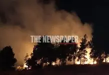 Βόλος: Μάχη με τις φλόγες δίπλα στο Αρχαίο Θέατρο