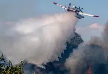 Καβάλα: Υπό πλήρη έλεγχο η φωτιά στην παραλία Οφρυνίου