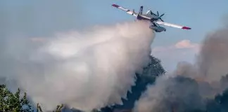 Καβάλα: Υπό πλήρη έλεγχο η φωτιά στην παραλία Οφρυνίου