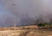 Φωτιά στην Αττική: Σε πολλαπλές εστίες επιχειρούν αδιάκοπα οι πυροσβεστικές δυνάμεις
