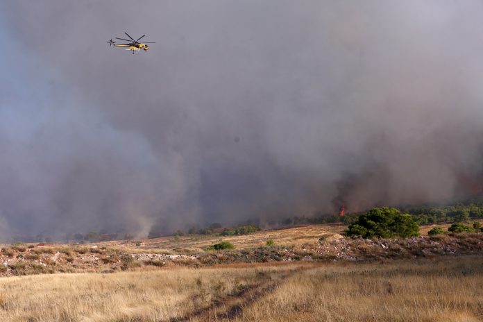 Φωτιά στην Αττική: Σε πολλαπλές εστίες επιχειρούν αδιάκοπα οι πυροσβεστικές δυνάμεις