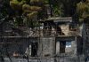 Φωτιά στη Βοιωτία: Αυτοψία κλιμακίων της ΔΑΕΕ μετά από εντολή του ανακριτή Θηβών