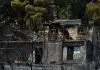 Φωτιά στη Βοιωτία: Αυτοψία κλιμακίων της ΔΑΕΕ μετά από εντολή του ανακριτή Θηβών