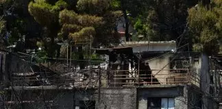 Φωτιά στη Βοιωτία: Αυτοψία κλιμακίων της ΔΑΕΕ μετά από εντολή του ανακριτή Θηβών