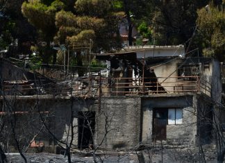 Φωτιά στη Βοιωτία: Αυτοψία κλιμακίων της ΔΑΕΕ μετά από εντολή του ανακριτή Θηβών