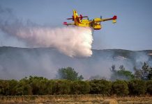 Φωτιά στην Πλαταριά Θεσπρωτίας – Σηκώθηκαν και εναέρια μέσα