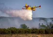 Φωτιά στην Πλαταριά Θεσπρωτίας – Σηκώθηκαν και εναέρια μέσα